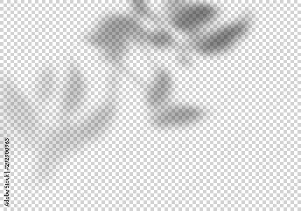 Fototapete transparent vector shadow of leaves. decorative design element for collage and mock up. overlay effe