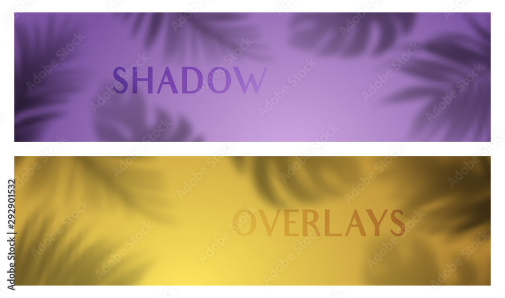 Poster vector banners with transparent shadows of tropical leaves. creative overlay effect for mockups