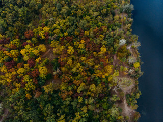 Naklejka premium A view from the drone on a autumn forest next to the lake.