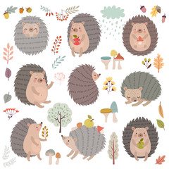 Hedgehog set hand drawn style. Cute Woodland characters playing, sleeping, relaxing and having fun. © avian