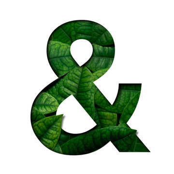 Leafs number & made of Real alive leafs with Precious paper cut shape of font. Leafs font.