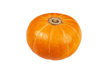 Ripe orange pumpkin on a white isolated background