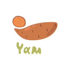 Sweet golden yam kind of potato. Vector illustration isolated on white background. Hand drawn clipart of batat for organic farming market. Drawing simple flat design clipart handdrawn element.