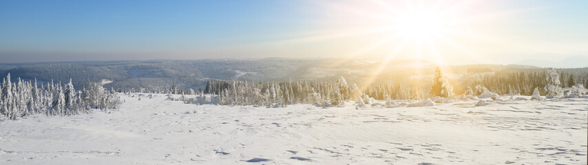 Fototapeta na wymiar Stunning panorama of snowy landscape in winter in Black Forest - winter wonderland