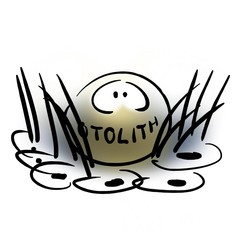 Otolith bends cilia on cells