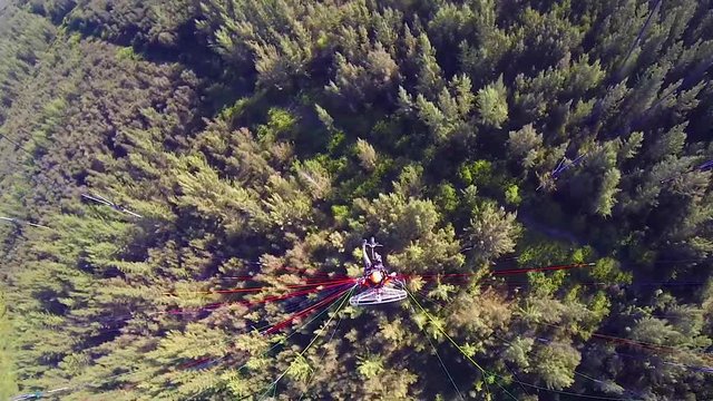 Top down view of paramotor pilot flying over a dence forest in Florida