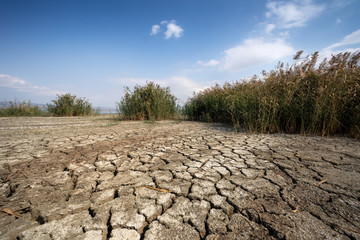Dry lake bed with natural texture of cracked clay in perspective floor