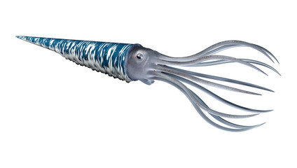 3D Rendering Orthoceras on White © photosvac