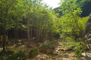 Vista dal sentiero 208 dal villaggio di Baciardi all'eremo di Morimondo