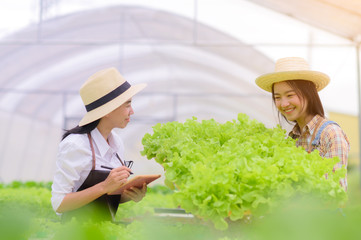 researcher and woman farmer in take care of Fresh vegetable Organic in wooden basket prepare inspection and harvest in hydroponic farm, greenhouse