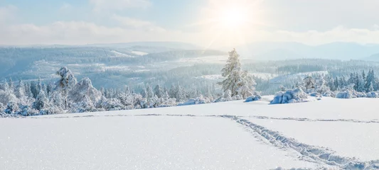 Fotobehang Prachtig panorama van het besneeuwde landschap in de winter in het Zwarte Woud - winterwonderland © Corri Seizinger