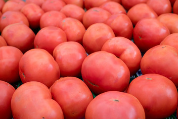 a tray of ripe red field tomatoes in a fruit market stall
