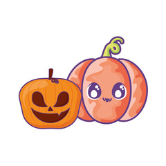 halloween pumpkins on white background