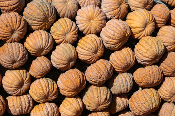 Fresh healthy bio pumpkins on farmer agricultural market at autumn