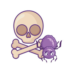 creepy spider animal with skull on white background