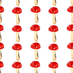 Seamless pattern with hand-drawn fly amanita on white background.