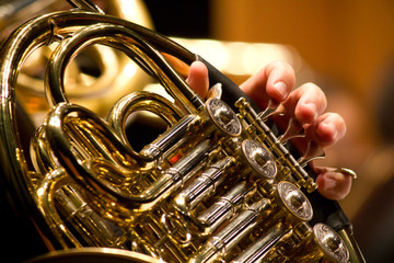 Fototapeta na wymiar Detalhe de músico de orquestra, tocando trompa, Trompista