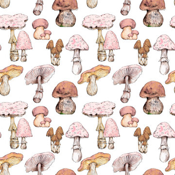 Watercolor hand drawn artistic colorful MUSHROOMS fall  season vintage seamless pattern
