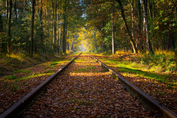 Empty railroad track through the forest in autumn (fall) on a sunny day, vanishing point