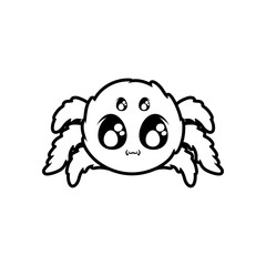 creepy spider animal on white background