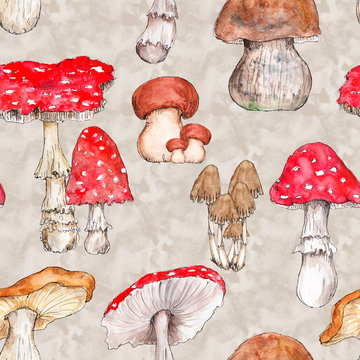 Watercolor hand drawn artistic colorful MUSHROOMS fall  season vintage seamless pattern
