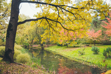 Autumn landscape beautiful colored trees over the pond.