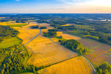 Top aerial panoramic view of green fields and meadows in summer. Abstract landscape with lines of fields, grass, trees, sunny sky and lush foliage. Landscape with drone