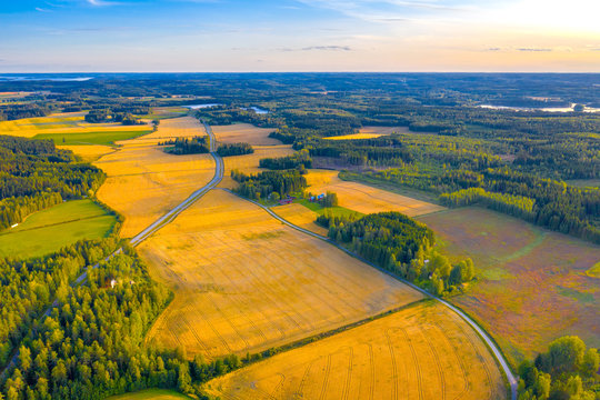 Top Aerial Panoramic View Of Green Fields And Meadows In Summer. Abstract Landscape With Lines Of Fields, Grass, Trees, Sunny Sky And Lush Foliage. Landscape With Drone