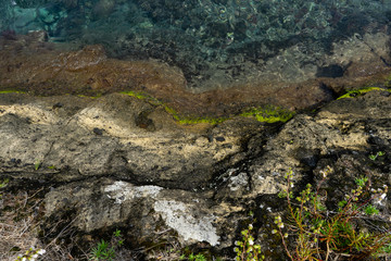 Fototapeta na wymiar Rock, moss and sea water