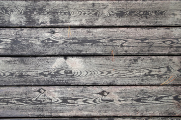 Boardwalk flooring on the promenade. Pronounced wood texture after rain. Dangling pine needles.