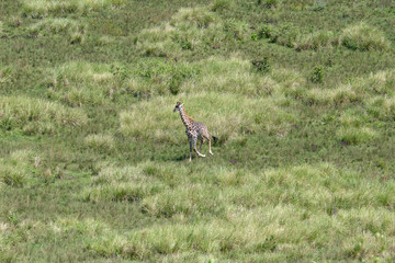 SAFARI Tanzania Zanzibar