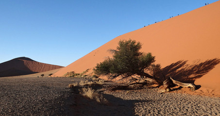 Sesriem et particulièrement Sossusvlei qui permet de s’immerger dans l’immense désert du Namib. Deadlvei et ses arbres morts au milieu du désert