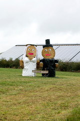 Just married puppets lovely background high quality