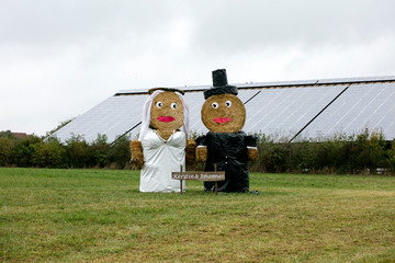 Just married puppets lovely background high quality