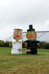 Just married puppets lovely background high quality