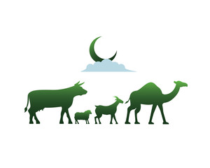 Cow Sheep Goat and Camel Walking Together as a Symbol of Eid Al Adha