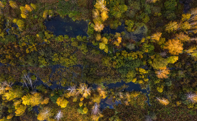 Nature and landscape: aerial view of forest and lakes, autumn leaves, foliage, greenery and trees in a wilderness landscape