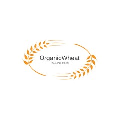Agriculture wheat Logo Template vector icon design 