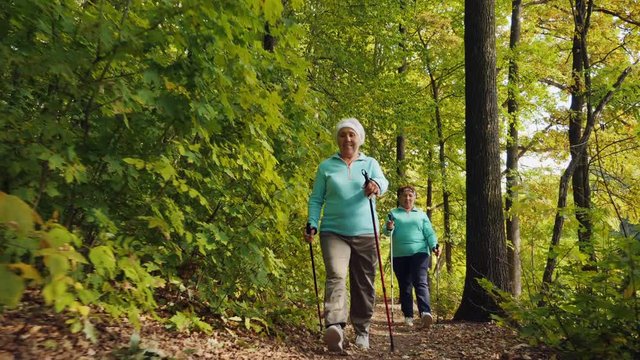 Nordic walking for elderly women outdoor - two senior ladies has training in autumn forest. Women happy and go at a fast pace