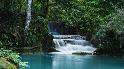 Fototapeta na wymiar Tat Kuang Si Waterfalls. Beautiful landscape. Luang Prabang, Laos.