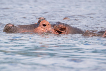 SAFARI Tanzania Zanzibar