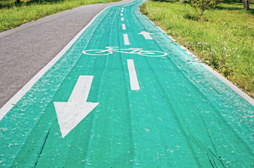 Bicycle path in the park at summer