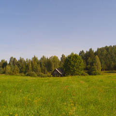 Rural landscape with a small wooden house