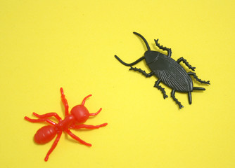 INSECT'S FRIENDSHIP 