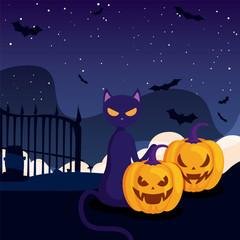 cute cat with pumpkin on halloween scene