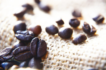 closeup of sunflower seeds