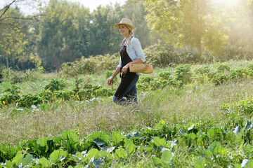 Farmer woman walking in agricultural field