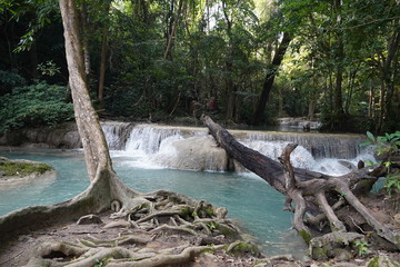Fototapeta premium waterfall in the forest