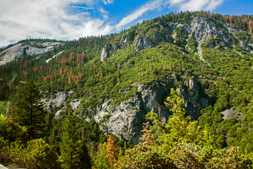 Obraz premium Majestic Yosemite