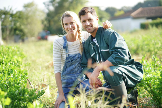 Couple of farmers standing in agricultural field